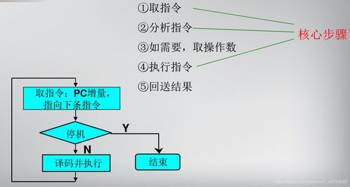 計(jì)算機(jī)系統(tǒng)的基本組成與其相關(guān)服務(wù)